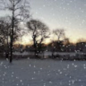 Meet your Posher, Dongwon